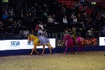 Quadrille - 00410